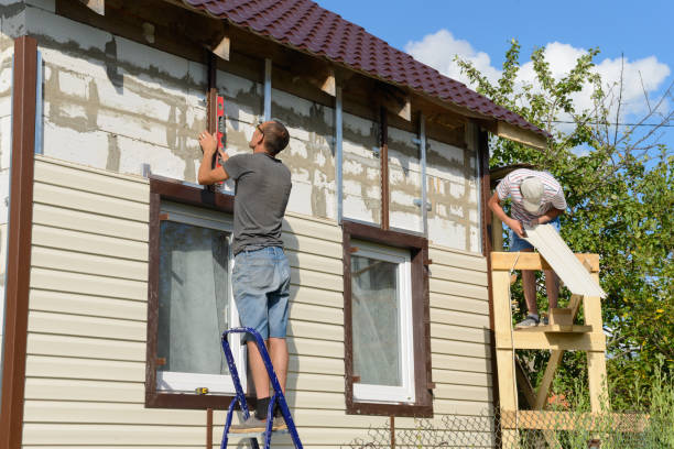 Best Siding Painting and Refinishing  in Lasalle, IL