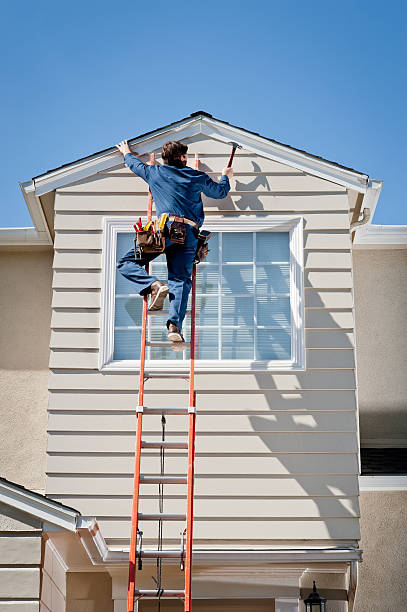 Best Insulated Siding Installation  in Lasalle, IL