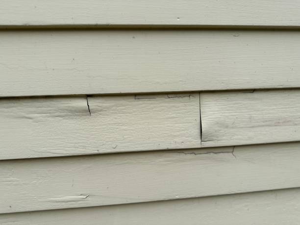 Best Aluminum Siding Installation  in Lasalle, IL